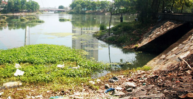 Hồ Đảo Xanh đang bị ô nhiễm nặng vì nước thải sinh hoạt chảy vào hồ.