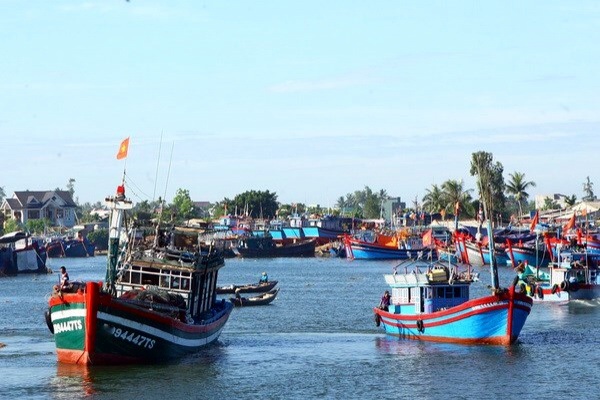 Tàu thuyền ngư dân Quảng Ngãi neo đậu tại cảng cá Sa Kỳ.