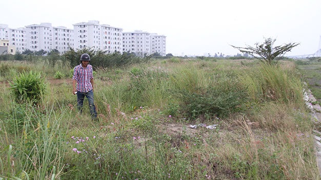 Khu đất thuộc dự án khu dân cư Harbour Ville Riverside cỏ mọc um tùm, chưa làm xong hạ tầng - Ảnh: H.Khá
