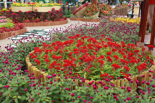 Flower display on Bach Dang Street during the 2014 Tet Festival