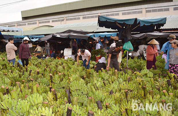 Chuối Khánh Hòa đổ về chợ Đầu mối (ảnh chụp sáng 5-12-2014).