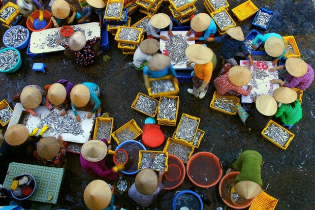 Chợ cá ở Việt Nam nhộn nhịp người bán - kẻ mua.  Nhưng có tới 1/9 dân số thế giới chịu cảnh thiếu ăn.