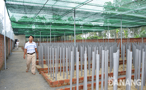 Khu trồng phong lan cắt cành vốn đầu tư 2,1 tỷ đồng của ông Nguyễn Xuân Hùng ở thôn Dương Sơn, xã Hòa Châu.