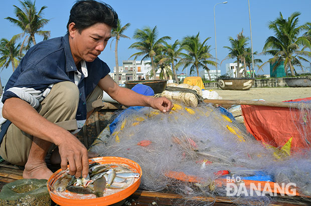 Công việc của các ngư dân tại phường Thọ Quang (khu vực ven đường Hoàng Sa)