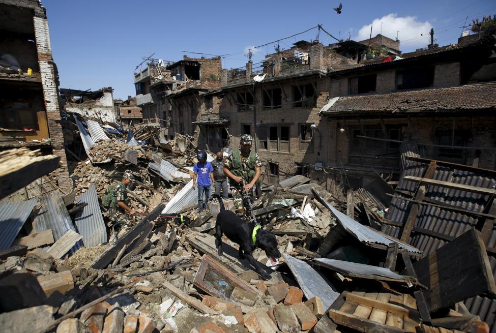 Quân đội Nepal dùng chó nghiệp vụ để tìm kiếm nạn nhân  trong các đống đổ nát. Ảnh: Reuters