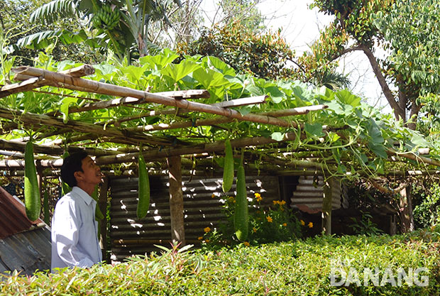 Hòa Vang có lợi thế để phát triển sản xuất nông sản và du lịch làng quê phục vụ thị trường đô thị. 