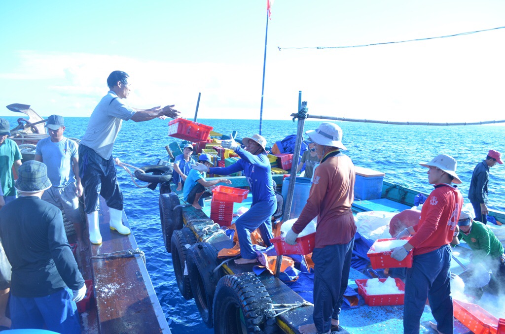 Tàu hậu cần nghề cá của Lê Văn Sang thu mua cá ở ngư trường duyên hải Miền Trung