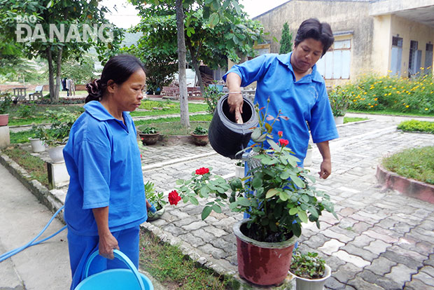 Tưới cây, giặt giũ, trồng rau là những bài tập lao động trị liệu dành cho bệnh nhân nữ ở Trung tâm điều dưỡng người tâm thần Đà Nẵng. Ảnh: Q.T