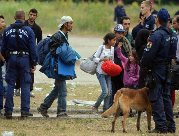 Dòng người nhập cư ồ ạt đổ về biên giới Hungary và Serbia.                        Ảnh: AFP