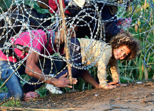 Hungary dựng hàng rào kẽm gai dọc biên giới với Serbia để ngăn chặn làn sóng nhập cư trái phép.							   Ảnh: AFP