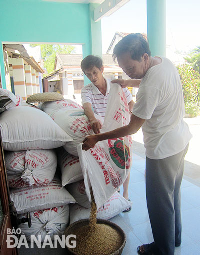 Với anh em ông Ngô Văn Hồng, hạt lúa mình làm ra để ăn luôn an tâm về chất lượng.