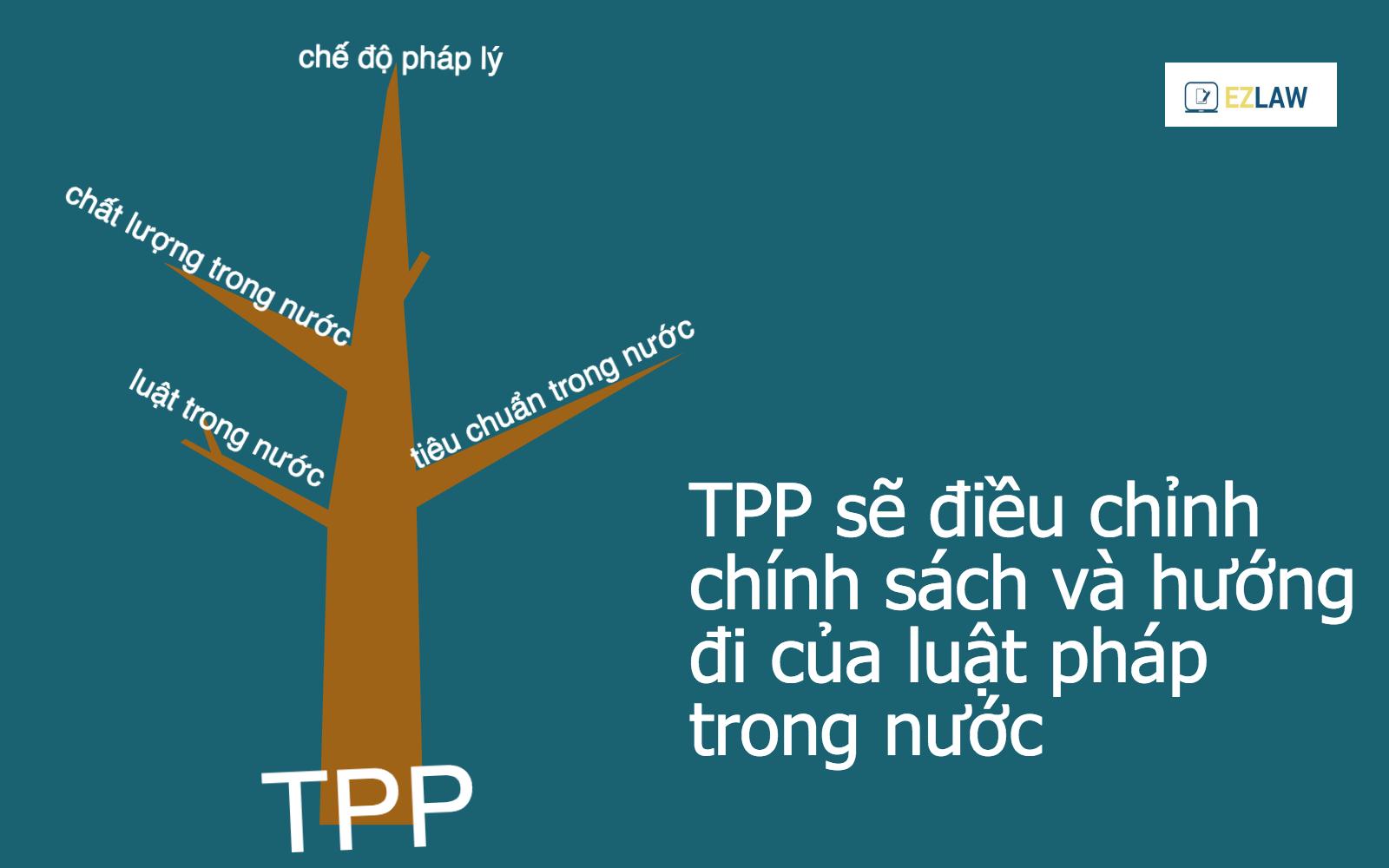 Hầu hết các thỏa thuận quốc tế là về xuất nhập khẩu hàng hóa, dịch vụ, nhưng TPP thì khác. Chính bản thân TPP sẽ tạo ra các điều luật quốc tế có khả năng điểu chỉnh chính sách và hướng đi của luật pháp trong từng quốc gia thành viên. Nói một cách khác, các điều luật của các quốc gia thành viên sẽ phải tuân theo định hướng của TPP.