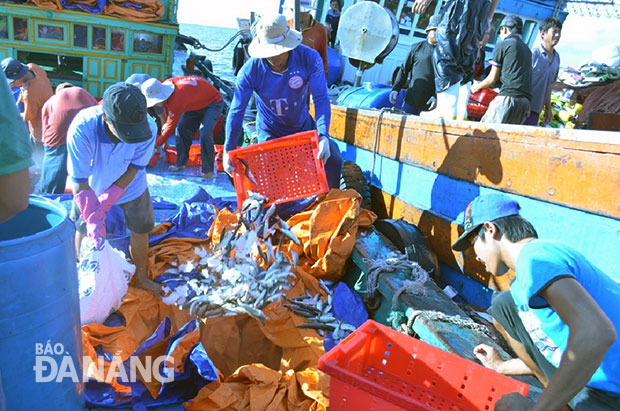Nhằm cạnh tranh trên trường quốc tế, ngành thủy sản Việt Nam cần phải nâng cao công nghệ đánh bắt và bảo quản.