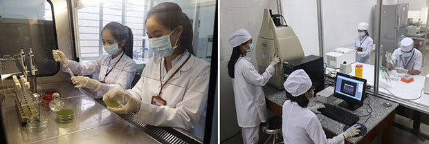 Xét nghiệm phục vụ công tác giám sát an toàn thực phẩm (ảnh trái) và thực hiện kỹ thuật PCR xét nghiệm nhanh tác nhân gây các bệnh truyền nhiễm như sốt xuất huyết, tay chân miệng… tại Khoa Xét nghiệm - Trung tâm YTDP Đà Nẵng. Ảnh: V.T.L