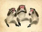 Khỉ trong tác phẩm nghệ thuật