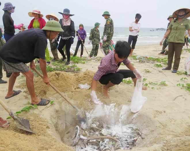 Người dân thu gom cá chết dạt vào bờ biển miền Trung. (Nguồn: TTXVN)