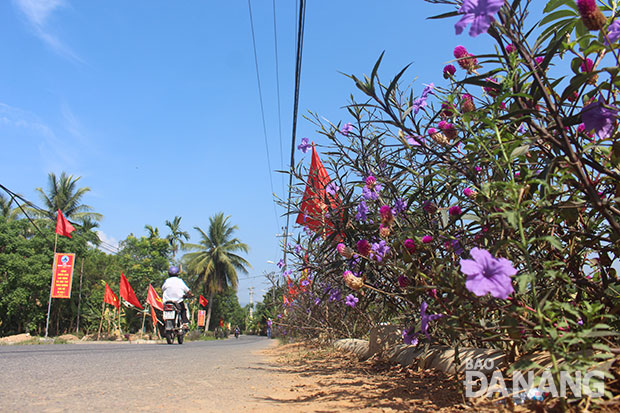 Con đường qua thôn Phước Hưng Nam đẹp hơn nhờ những cây cỏ ven đường. Ảnh: T.Y