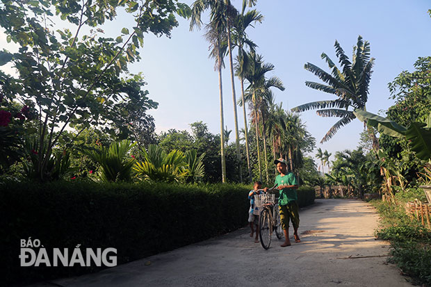 Hàng rào chè tàu và những loại cây còn giữ nét chân quê ở làng Thái Lai.