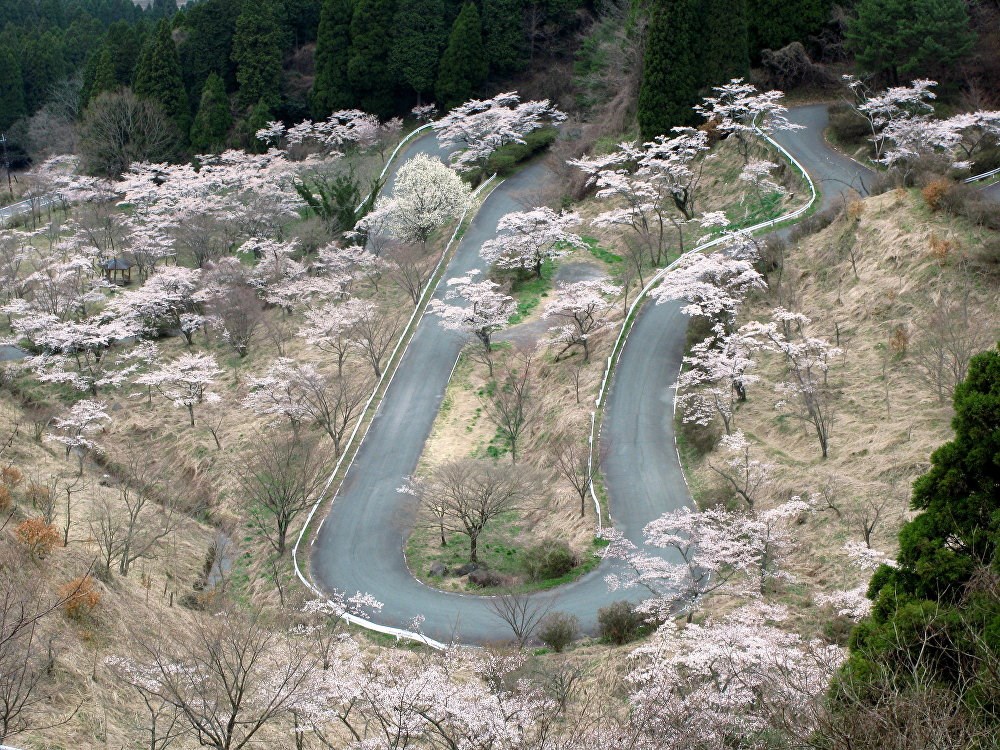 Đường Touge ở Nhật Bản. (Nguồn: Sputnik)