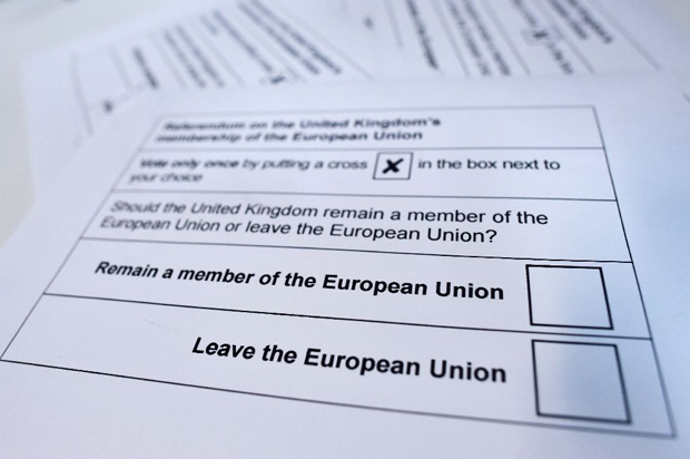 Trên lá phiếu, người dân Anh đánh dấu vào một trong hai ô: Ở lại là thành viên của EU/ Rời EU.  			                     Ảnh: AP