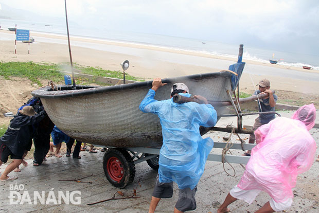 Ngư dân phường Mân Thái (quận Sơn Trà) khẩn trương đưa tàu thuyền lên bờ.  					                 Ảnh: NGỌC PHÚ