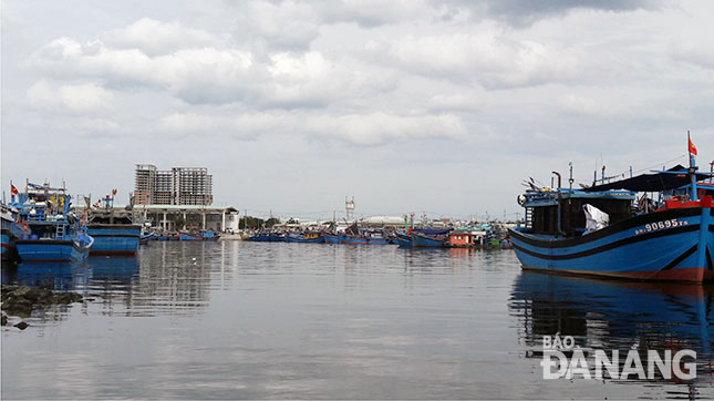 Thành phố đang đầu tư, nâng cấp cơ sở hạ tầng tại Âu thuyền và Cảng cá Thọ Quang, trong đó sắp đưa Nhà máy xử lý nước thải Sơn Trà vào hoạt động. 