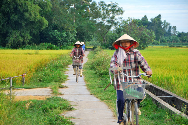 Nhiều phụ nữ nông thôn sau khi rời ruộng lúa ra “cày đường nhựa” để thêm thu nhập cho gia đình. Ảnh minh họa: PHAN NGUYỆT