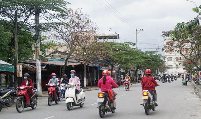  Vì là con đường nối giữa phường Hòa Khánh Nam và phường Hòa Khánh Bắc nên đường Phạm Như Xương luôn tấp nập xe cộ. 
