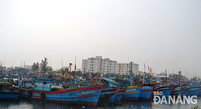 Nhiều tàu thuyền đã về neo đậu tại Âu thuyền Thọ Quang.