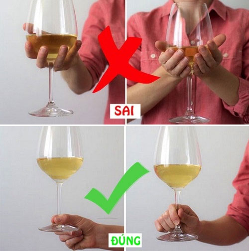 Cách cầm ly rượu vang thể hiện sự sang trọng, sành điệu của người thưởng rượu. (Nguồn: Internet)