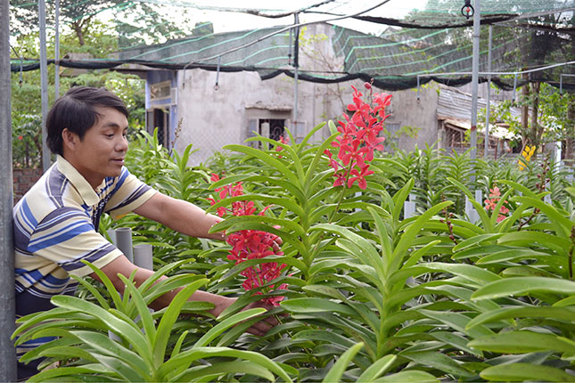 Mô hình trồng hoa lan của anh Nguyễn Xuân Hùng mang lại thu nhập mỗi năm hơn nửa tỷ đồng.
