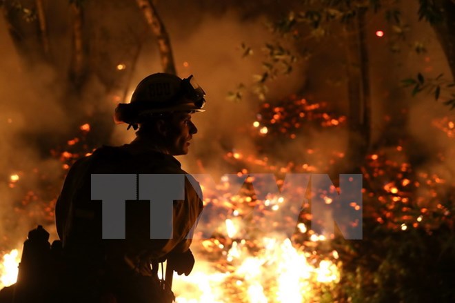 Lực lượng cứu hộ dập lửa cháy rừng tại Santa Rosa, California, Mỹ ngày 12/10. (Nguồn: AFP/TTXVN)