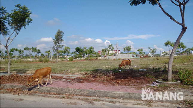 Khung cảnh hiu quạnh ở nhiều dự án bất động sản ven sông Cổ Cò và Khu đô thị Điện Nam - Điện Ngọc.