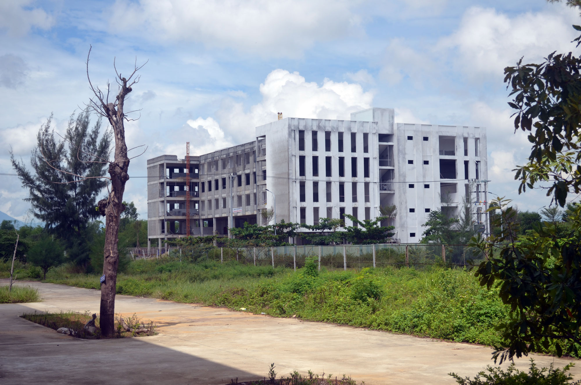 Trường đại học Y dược đang thành hình trong LĐN.