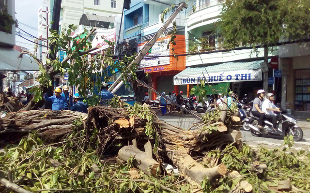 A view of a corner of Khanh Hoa Province’s Nha Trang City after typhoon Damrey (Photo: dantri.com.vn)