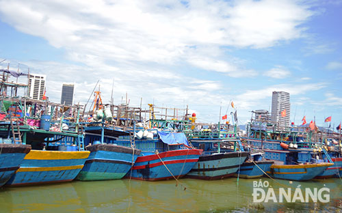 Many fishing boats berthed at the Tho Quang fishing wharf