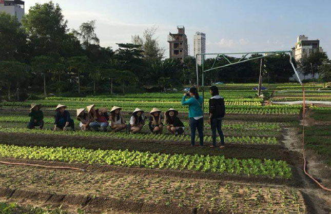 Du khách thích thú chụp hình lưu niệm cùng người nông dân tại vườn rau thuộc phường Mỹ An, quận Ngũ Hành Sơn.