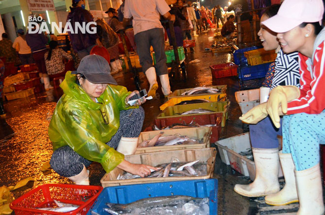 Tiểu thương lựa chọn thủy sản tại chợ đầu mối thủy sản Thọ Quang 1 