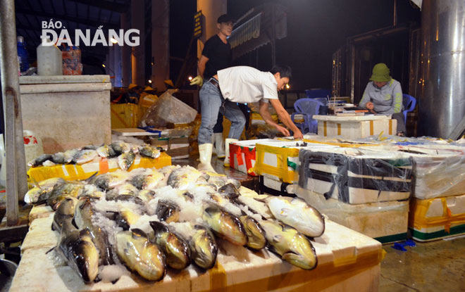 Cá được bày bán tại chợ đầu mối thủy sản Thọ Quang 