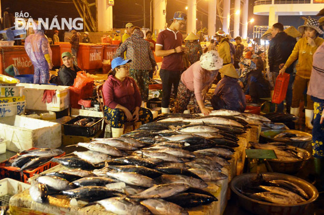 Hải sản được bày bán tại chợ đầu mối thủy sản Thọ Quang