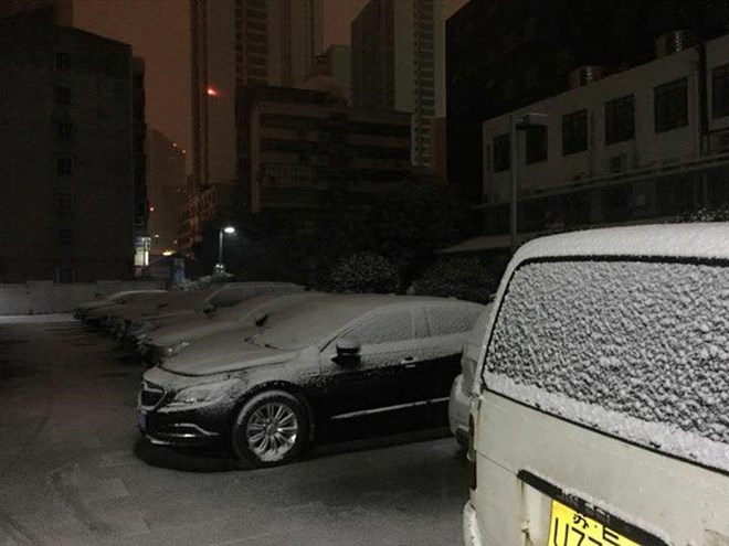 Ngày 25-1, tuyết đã phủ trắng mọi vật thể cố định ở thành phố Thường Châu, từ cây cối, mái nhà cho tới các xe ôtô. (Ảnh: Hoàng Linh)