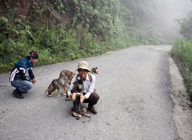 Hai lần gặp chó lạ chào mừng trên đỉnh núi Sơn Trà và Bà Nà. Ảnh: P.C.T