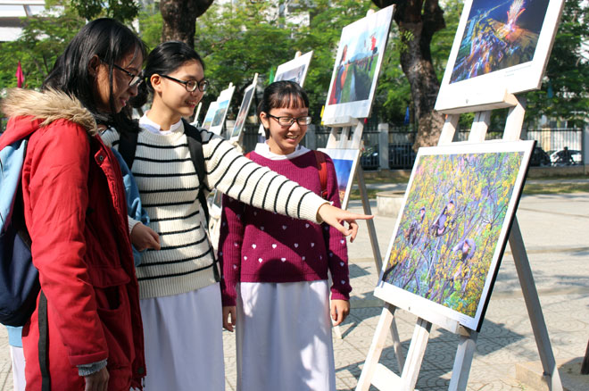 Học sinh trường THPT Phan Châu Trinh thích thú ngắm những bức ảnh trưng bày tại Hội Báo Xuân.