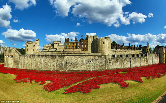 Tưởng nhớ tại Tháp London, với mỗi bông hoa anh túc tượng trưng cho một chiến binh của Anh hay thuộc địa đã chết trong Thế chiến thứ nhất.