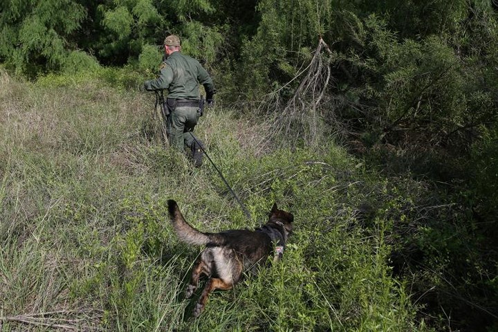 Một nhân viên tuần tra biên giới sử dụng cho nghiệp vụ khi đi tuần tra ở khu vực thung lũng Rio Grande, gần McAllen, Texas.
