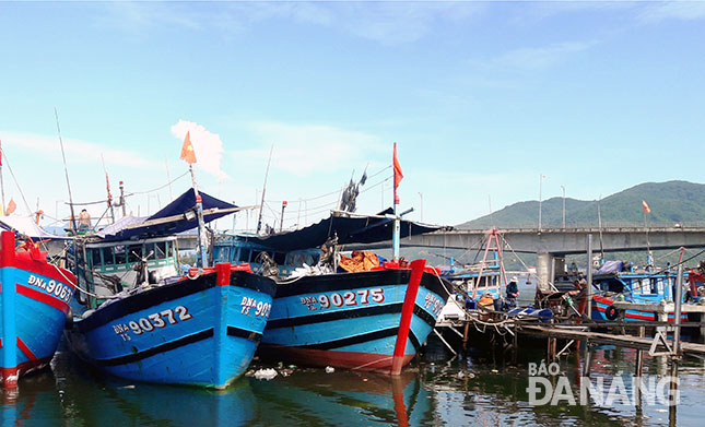 Many fishing boats being anchored at the Tho Quang fishing wharf
