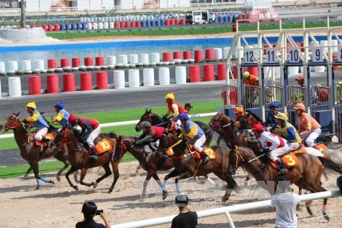 A horse race held at Dai Nam Tourism Area in the southern province of Binh Duong
