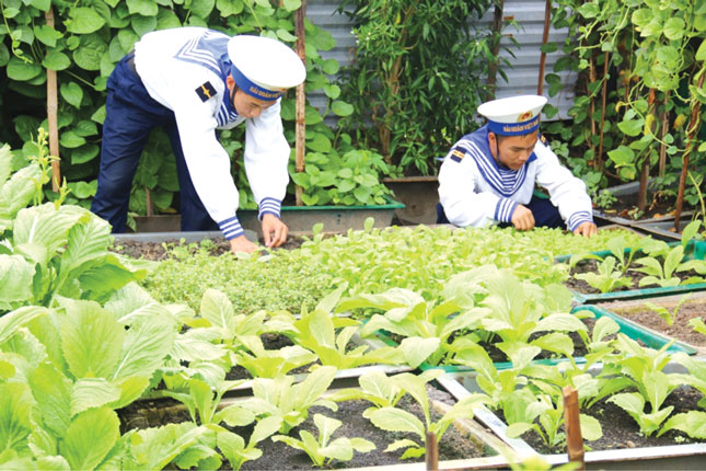 Các chiến sĩ đảo Sinh Tồn Đông chăm sóc rau xanh.