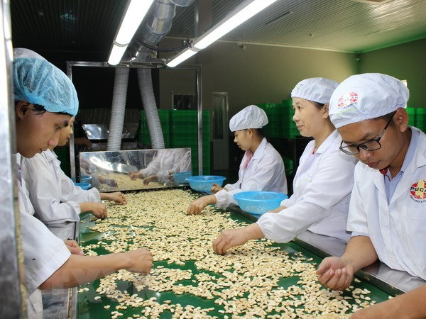 Shrimp, fruit, cashew nuts, coffee and wood products posted export value of more than 3 billion USD each. (Source: VNA)