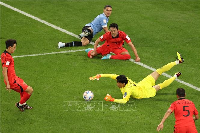 World Cup 2022, bảng H: Hàn Quốc cầm chân Uruguay trong trận cầu không bàn thắng